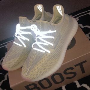 Adidas Yeezy Boost 350 V2 Antlia